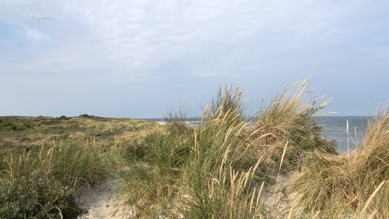20180822 ~ Beach & Dunes of Wadden Sea Island Vlieland