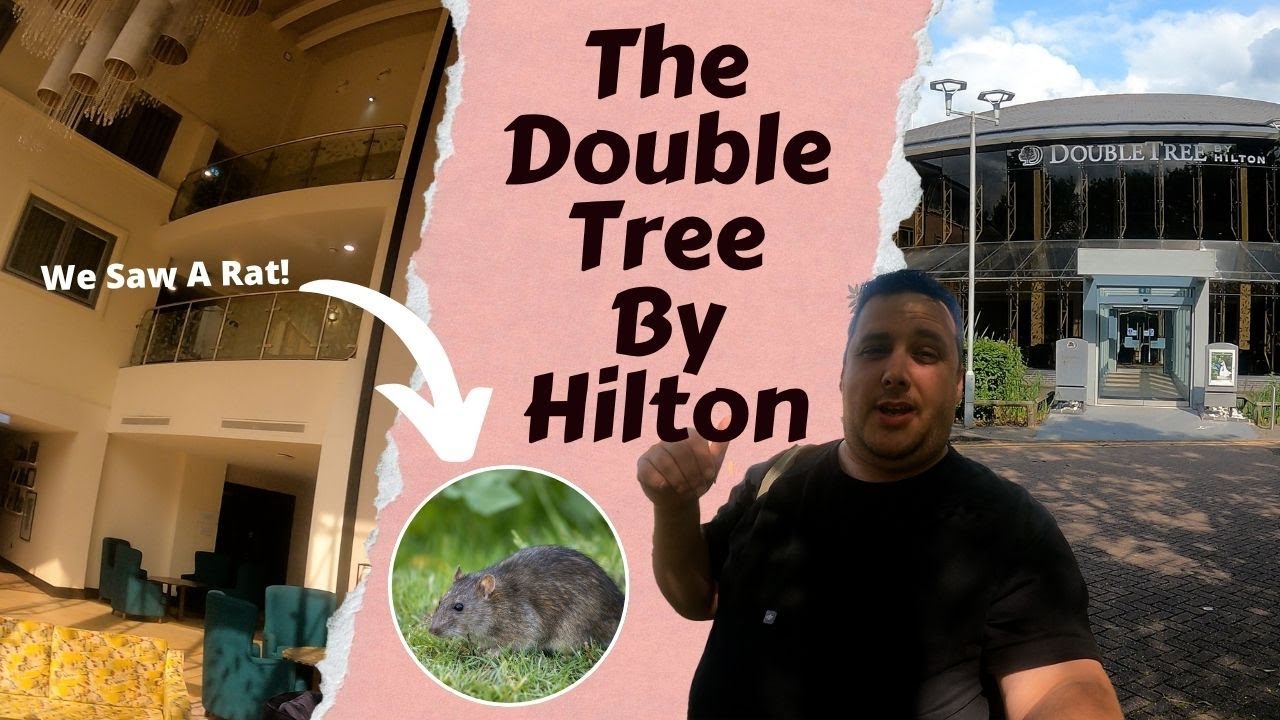 Inside the DoubleTree by Hilton | FULL Room Tour, Food, Amenities & Honest Review! 🍪