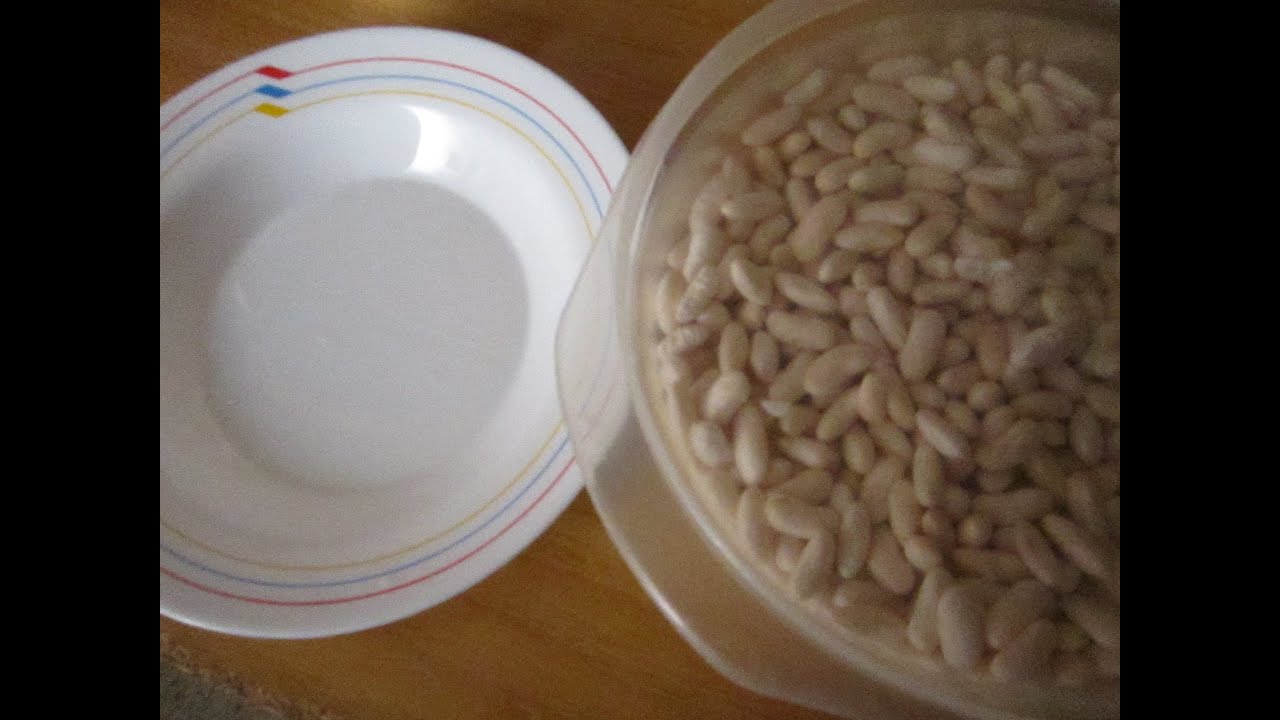 COMO CALCULAR LAS LEGUMBRES POR PERSONA PARA COCINAR ALUBIAS O FR&Eacute;JOLES
