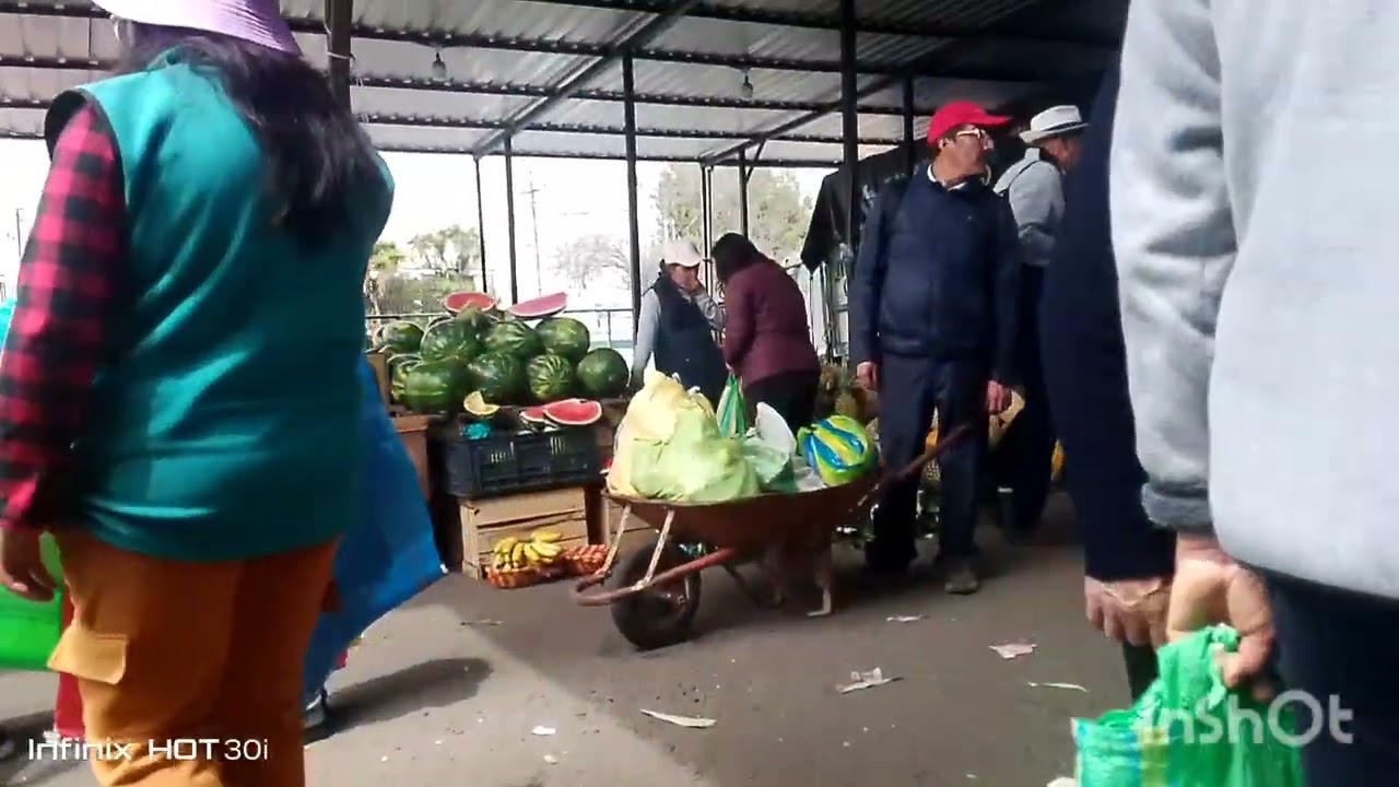 Recorriendo el mercado de la Ofelia 