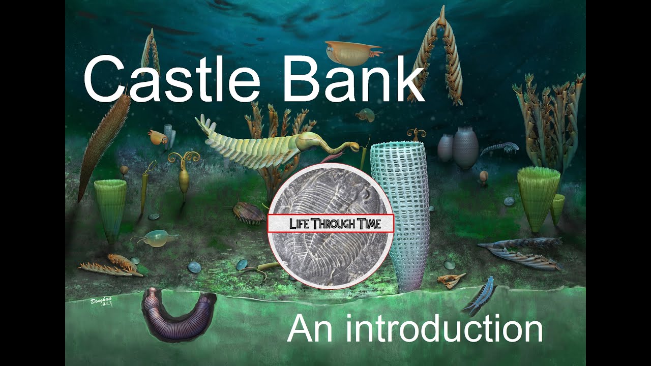 Castle Bank: an introduction