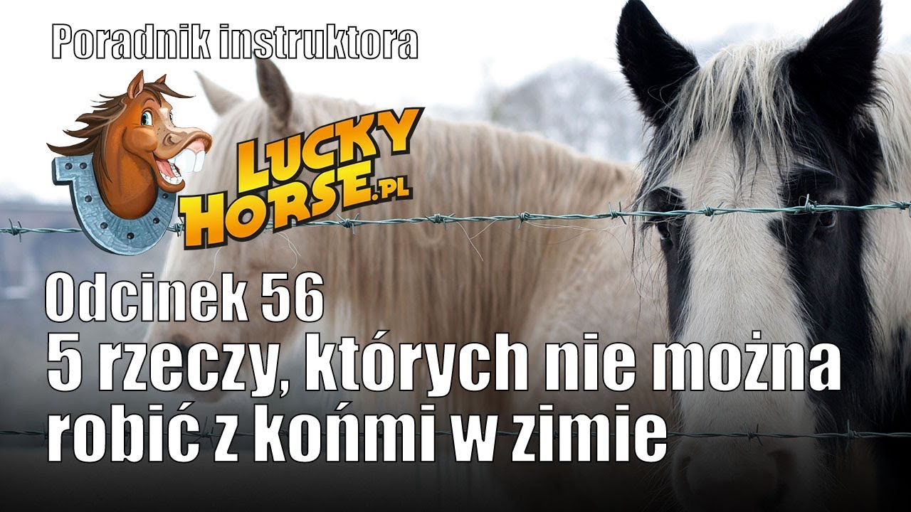 Porady LuckyHorse pl - Odc56 - 5 rzeczy, których nie wolno robić z końmi w zimie