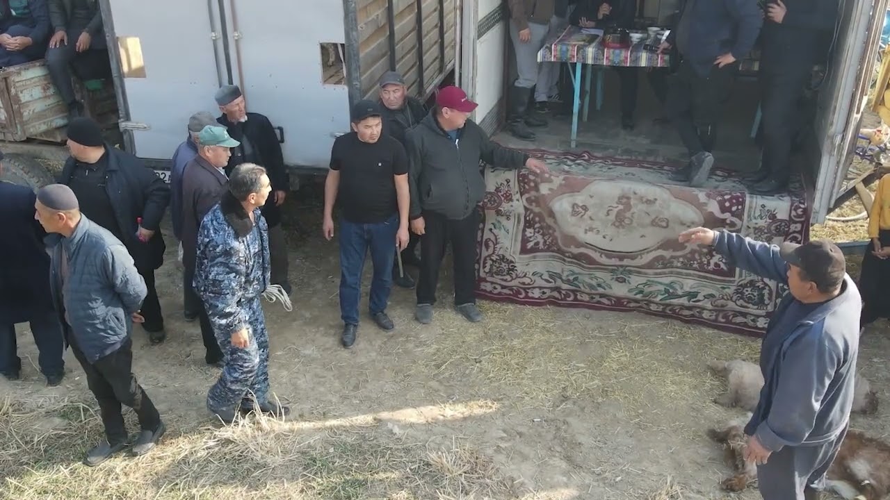 09 11 2025 көкпар