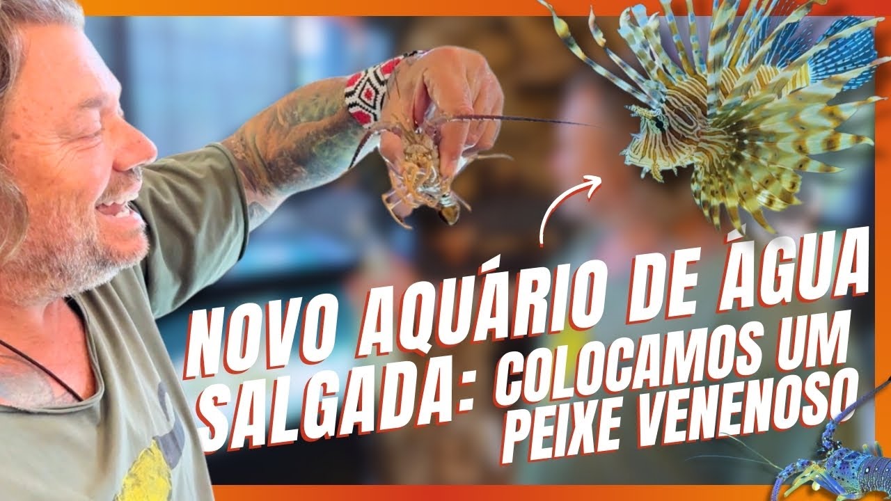 COLOCAMOS PEIXES NO NOVO AQUÁRIO DE ÁGUA SALGADA! | A CASA DOS BICHOS