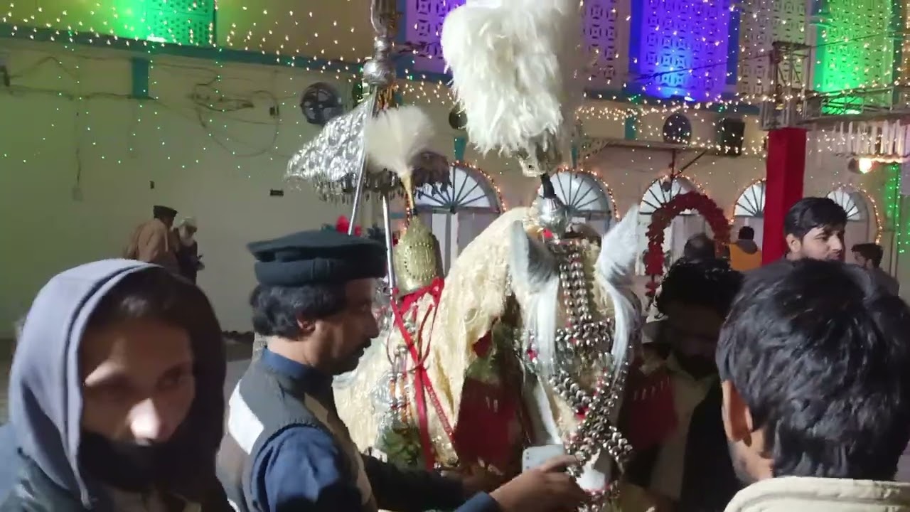 Zuljana shahzada Ali Akbar A.S Jashan 15 shoban