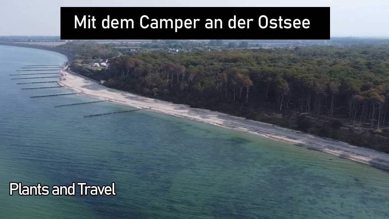 Es wird scharf geschossen am Gespensterwald. Ostsee, Heiligendamm und Nienhagen.