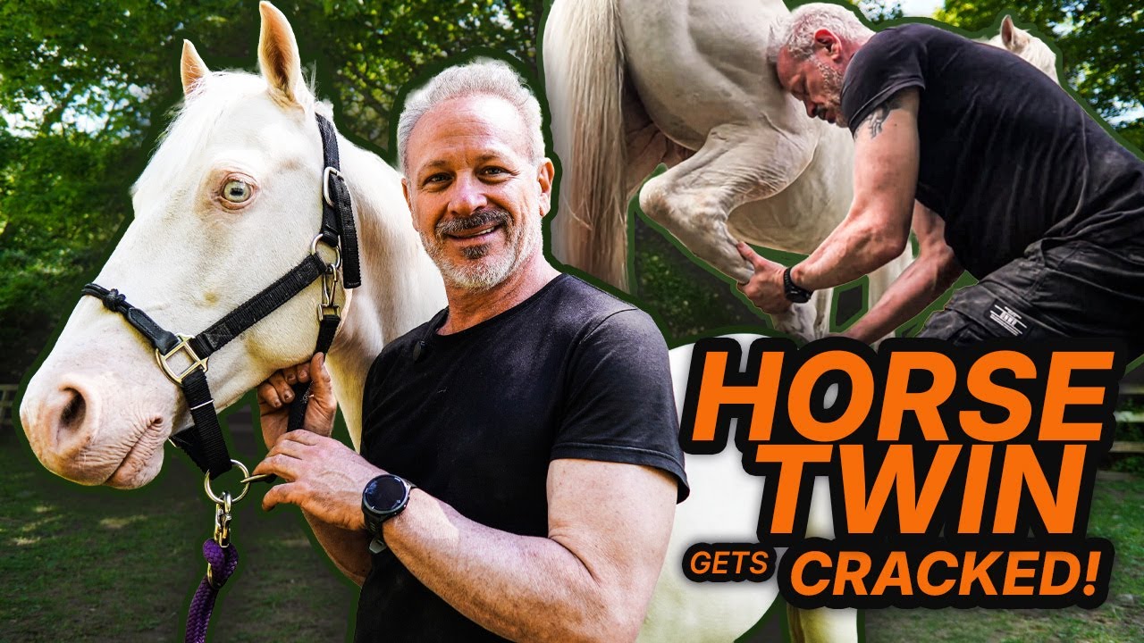 Dr. Doug’s Animal Twin Found at the Farm — The Adjustment Is Unreal!