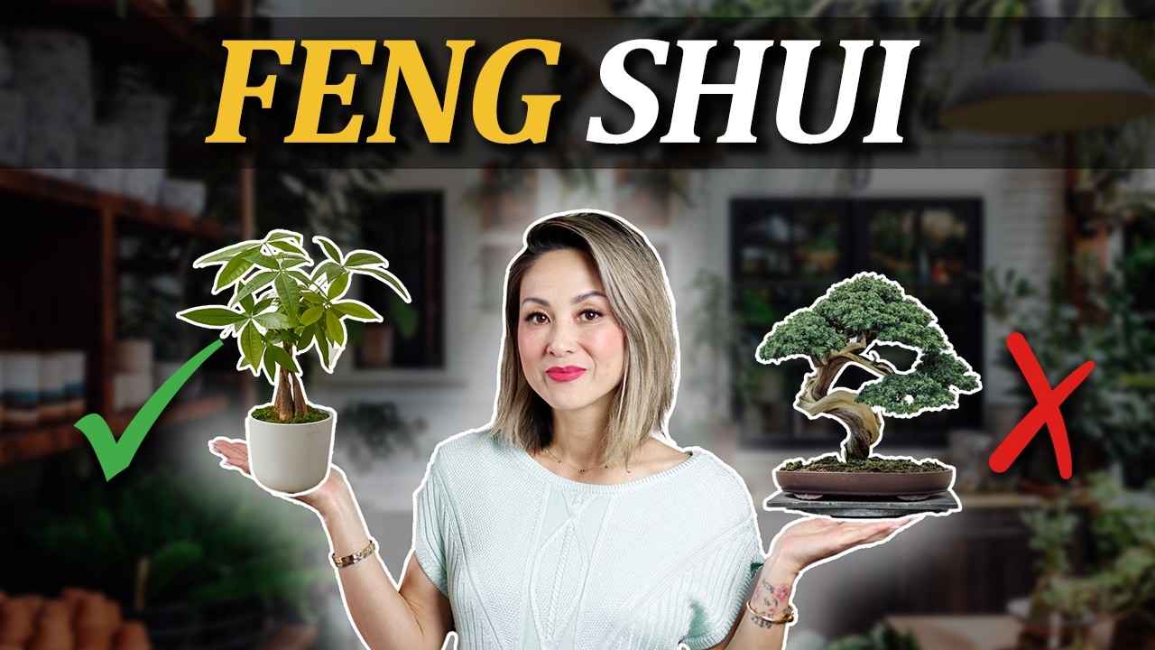 Feng Shui - BEST INDOOR PLANTS (plus 2 to AVOID!) | Julie Khuu