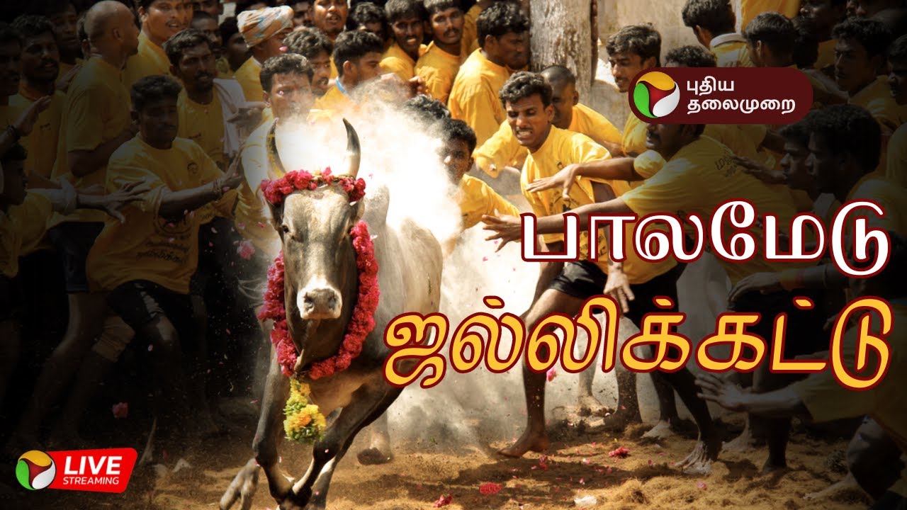 🔴Palamedu Jallikattu live | பாலமேடு  ஜல்லிக்கட்டு! | Madurai | PTD