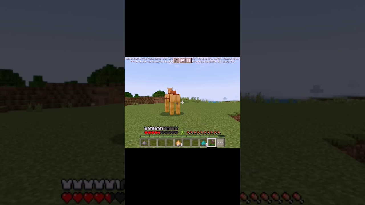 Minecraft'taki en iyi evcil hayvan nedir #minecraftshorts 🐺🐈🐎🐪