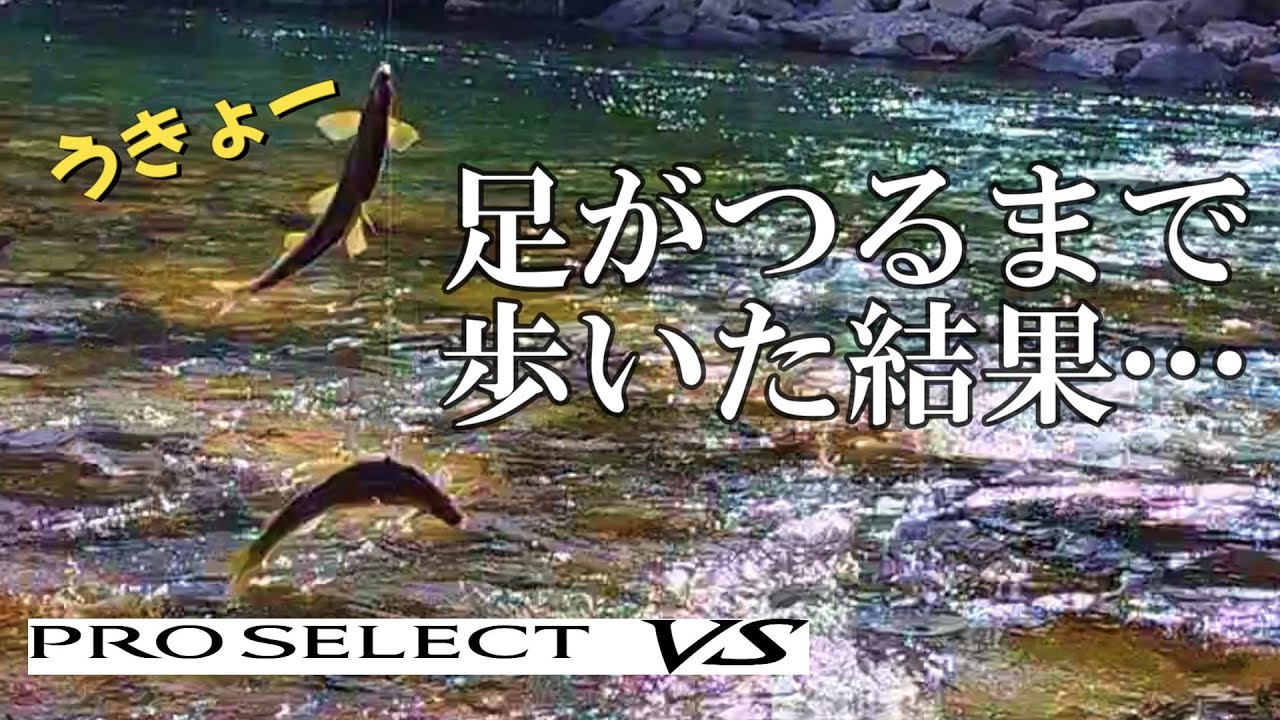 鮎釣り 良型鮎を追い求めて／長良川美並