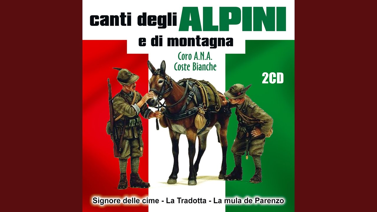 Benia Calastoria