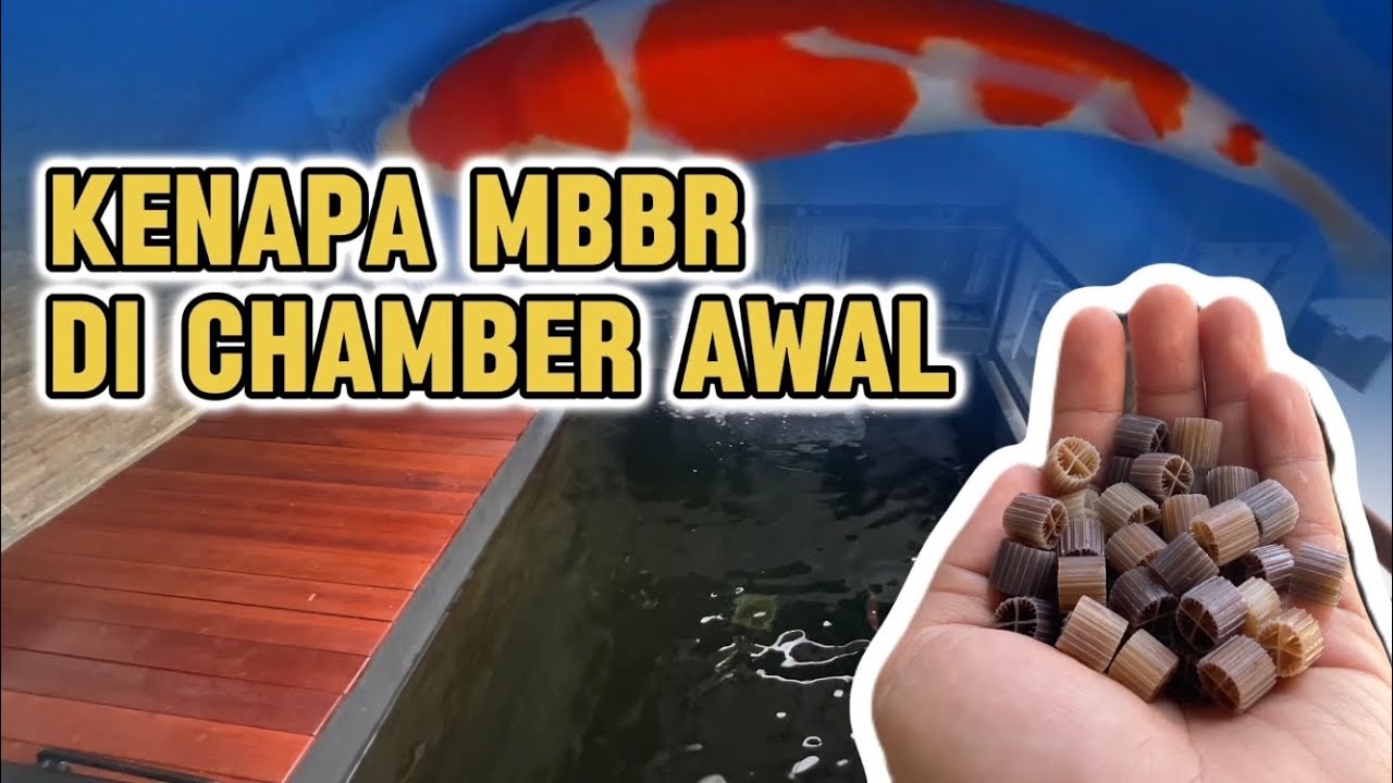 Mbbr Kaldness Лучший фильтр для прудов с кои