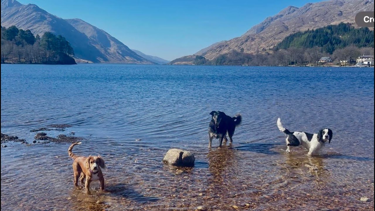 Glencoe, Ben Nevis Campsite Review & Glenfinnan