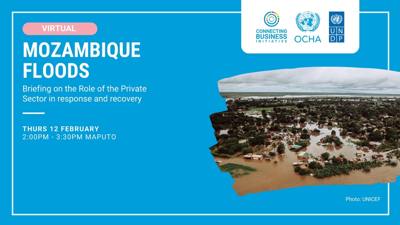 OCHA Business Briefing on the Mozambique Floods Response: The Role of the Private Sector