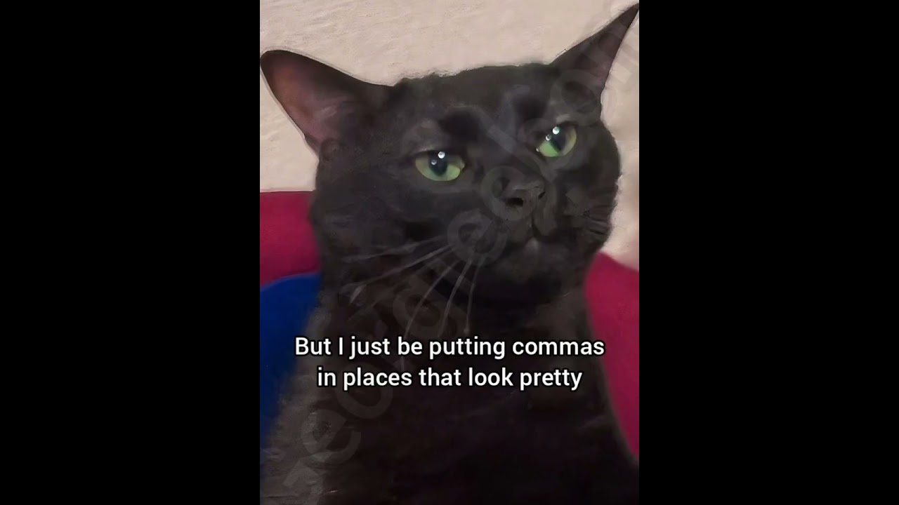 Как я расставляю запятые #georgieebom #мемыскотами #смешныекоты
