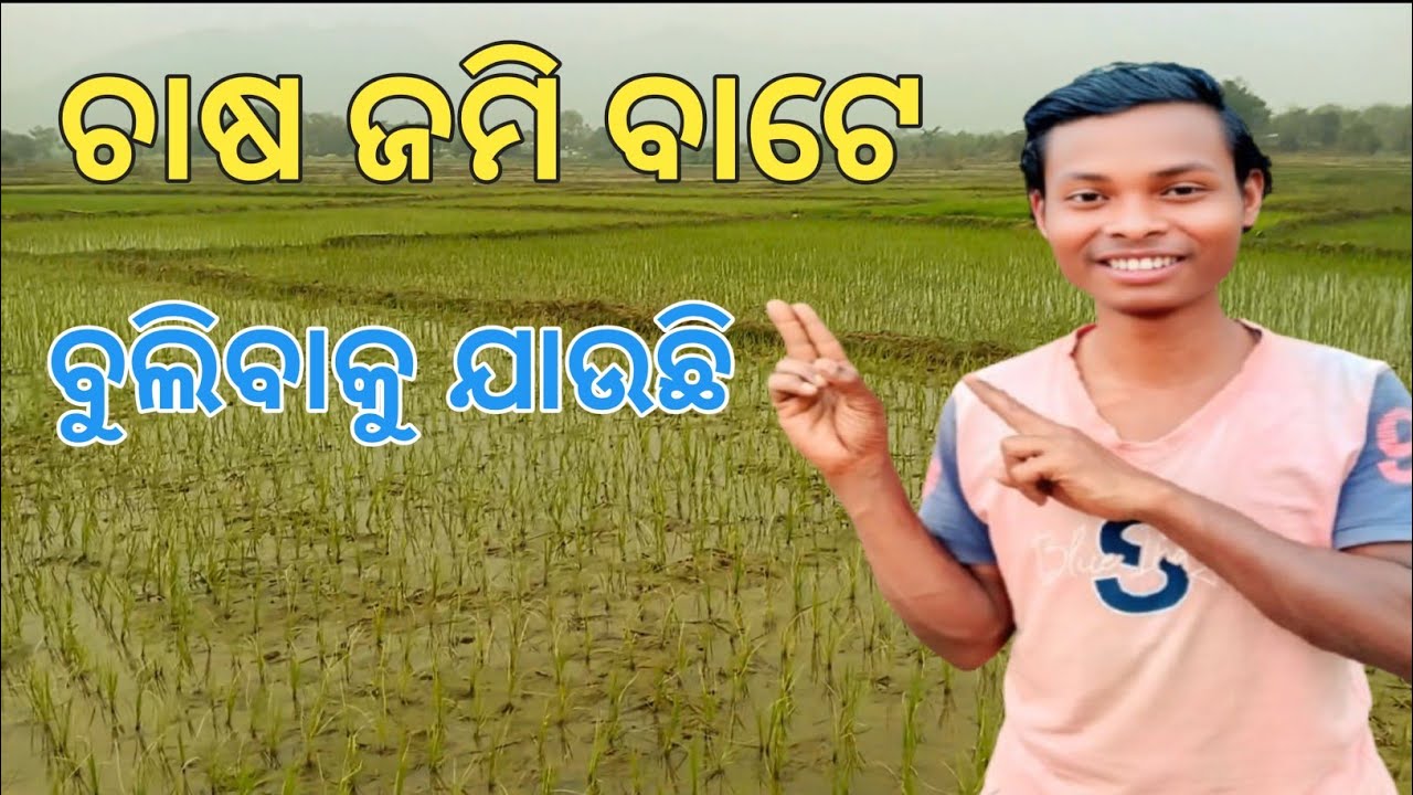 ଚାଷ ଜମି ବାଟେ ବୁଲିବାକୁ ଯାଉଛି ||#chasha jami bulibaku jauchhi ||@Dakuavlogs1999 #odisha 