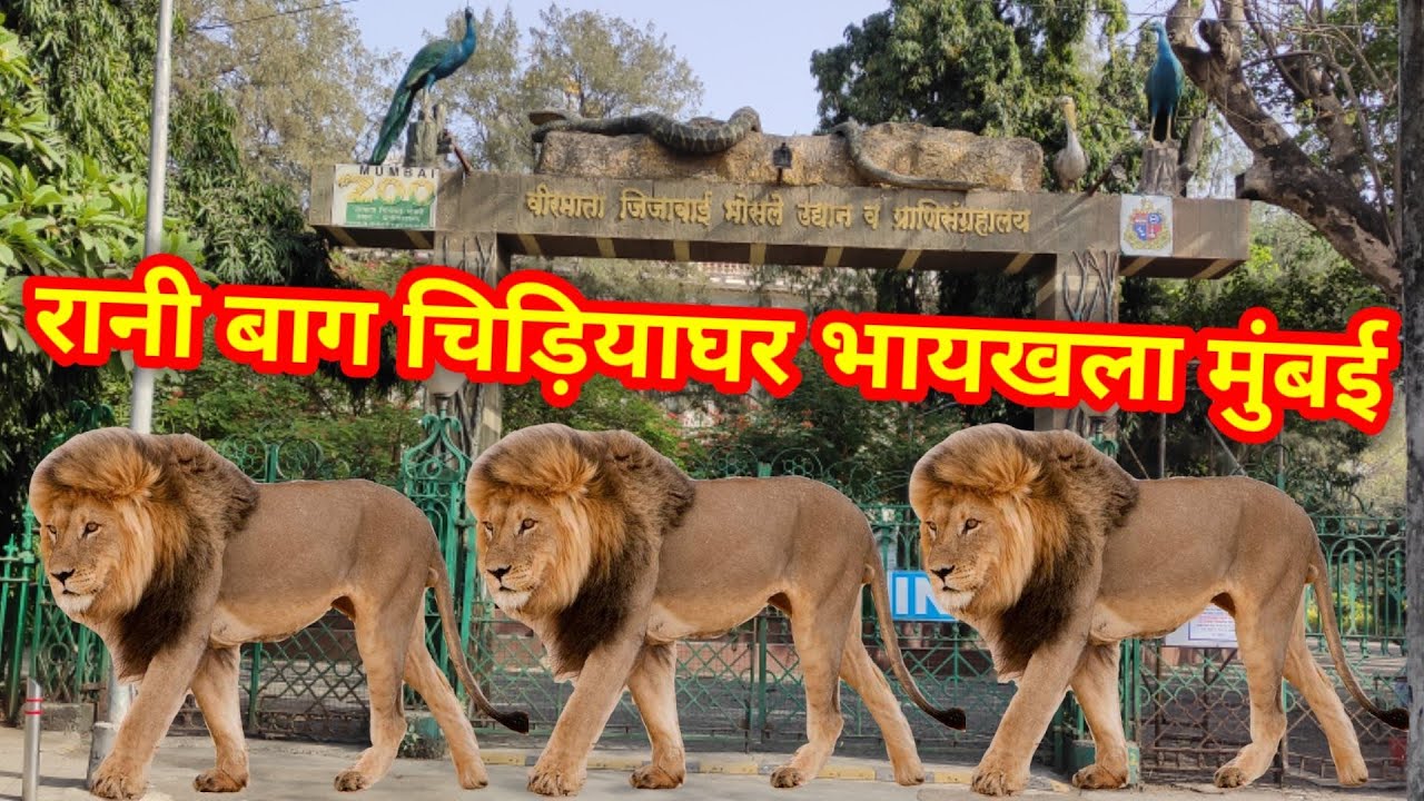 रानी बाग चिड़ियाघर भायखला मुंबई❤️💯ll