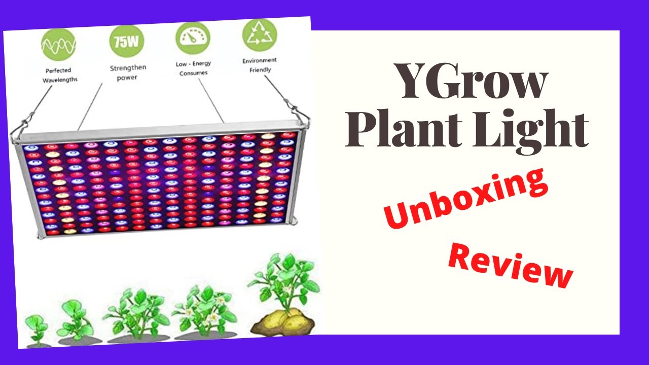 Unboxing YGrow LIght and Demo