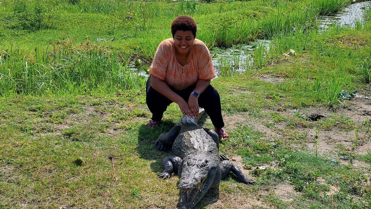 SWIMMING WITH CROCODILES IN GHANA- PAGA CROCODILE POND