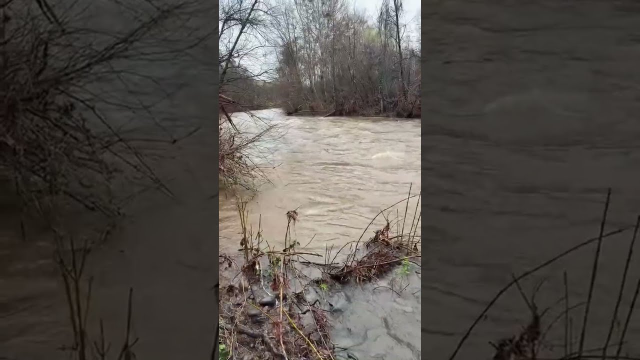 Chico creek live while raining 