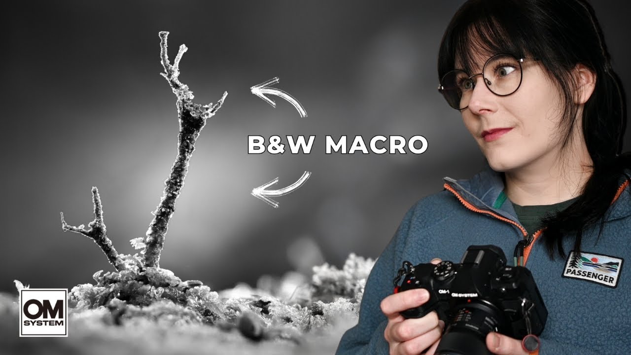 Макрофотография в черно-белом цвете | Видеоблог о зимних грибах