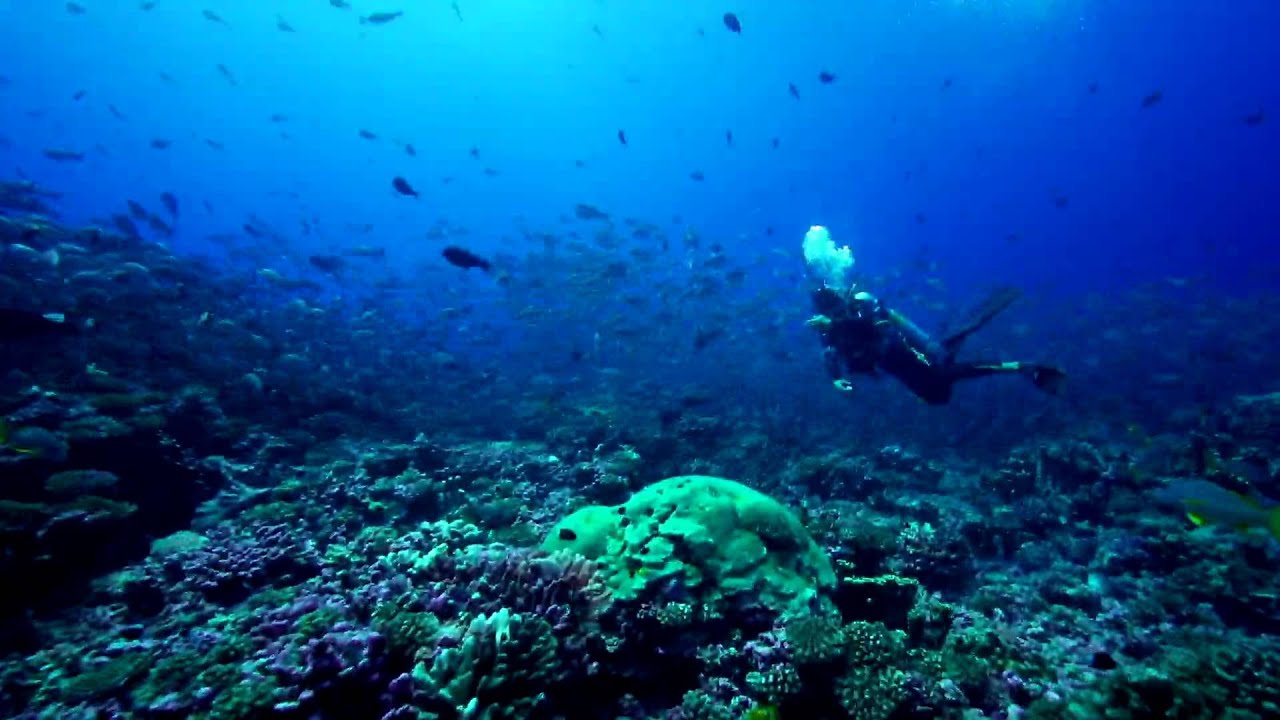 TOPDIVE Fakarava