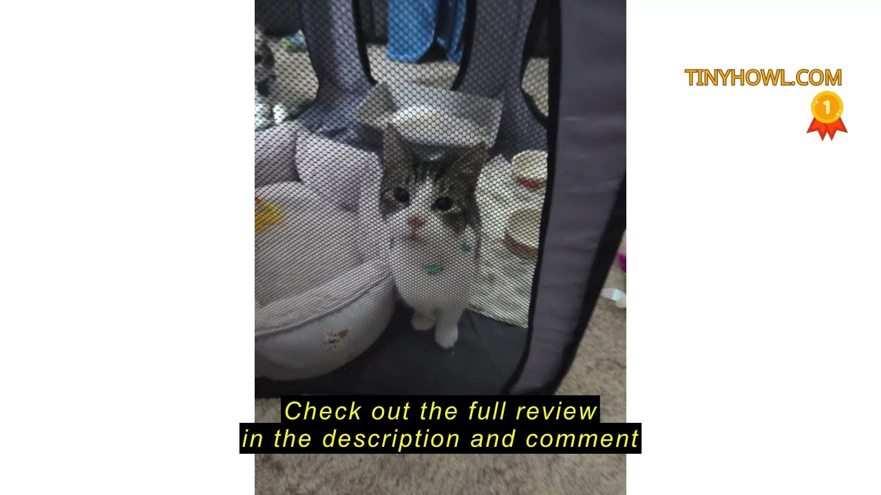 Review SNUVID Portable Cat Playpen- Large Foldable Cat Tent for Indoor and Outdoor, Play Enclosure f