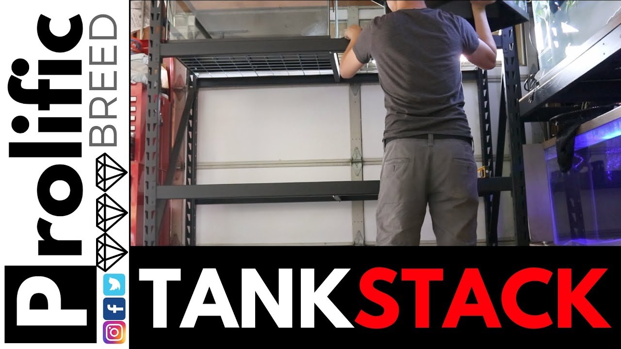 STACKING SIX 40 BREEDER FISH TANKS AQUARIUMS