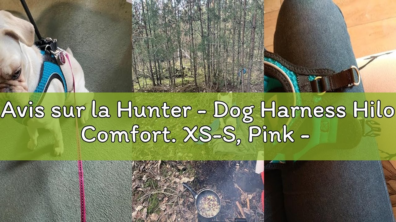 Avis sur la Hunter - Dog Harness Hilo Comfort. XS-S, Pink - (401673969806)