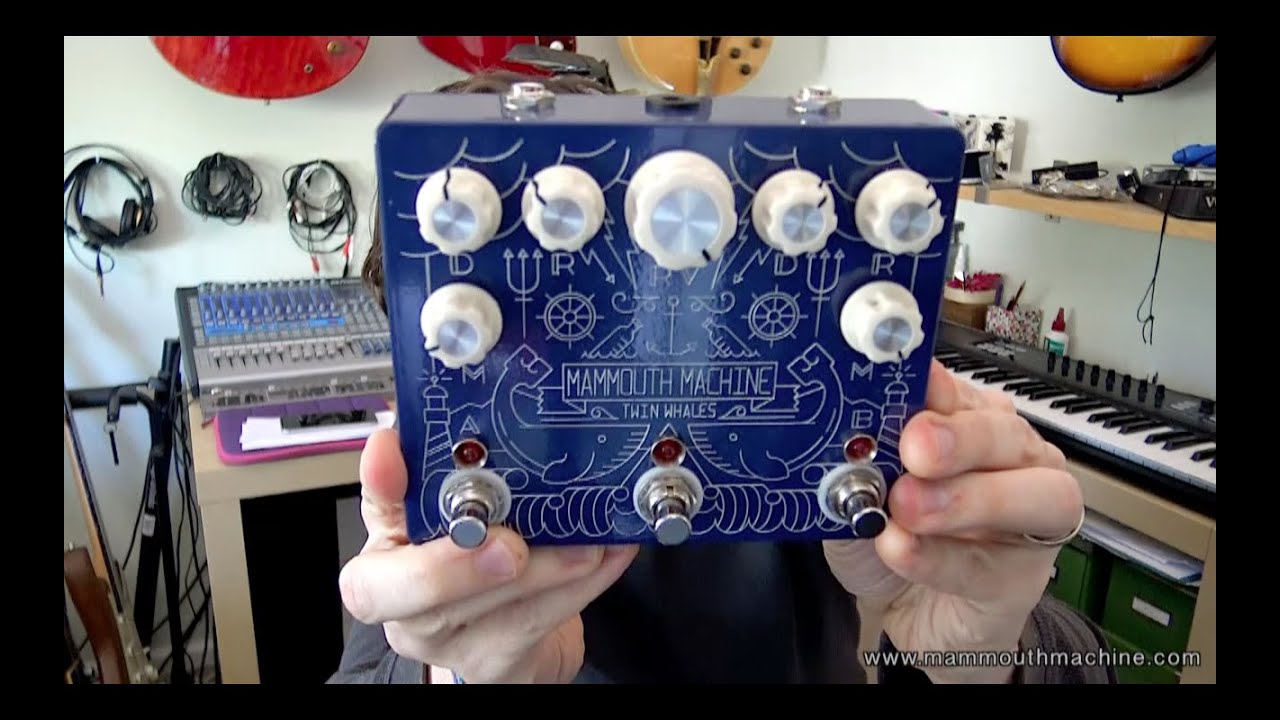 Unboxing - Mammouth Machine Twin Whales