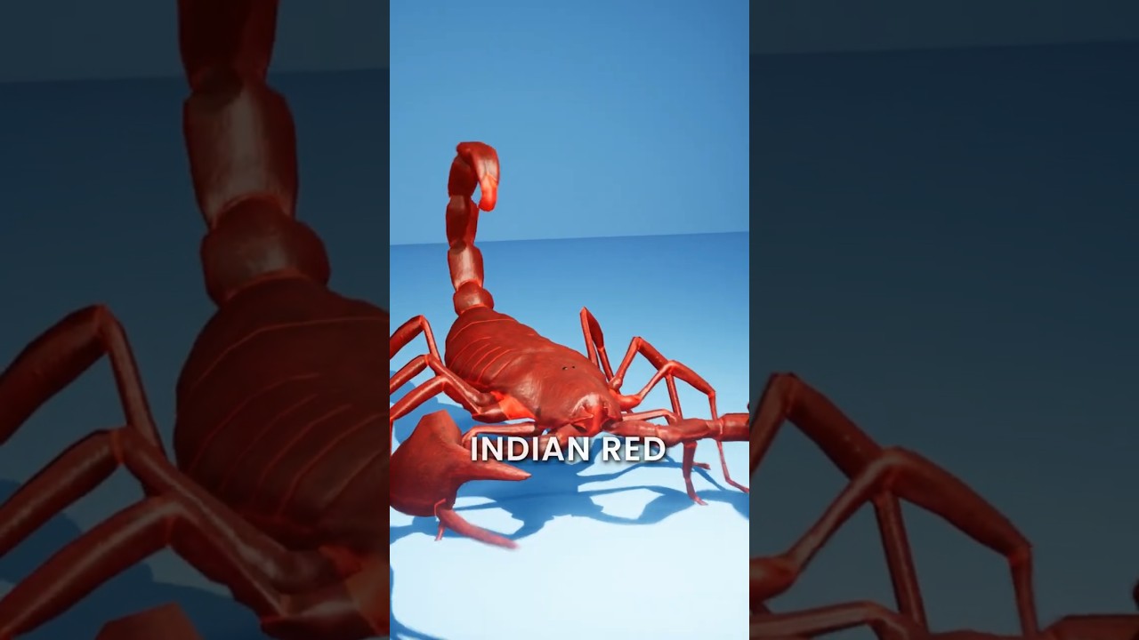 What if a Scorpion Stings You 😱 #3d #3danimation  #scorpion