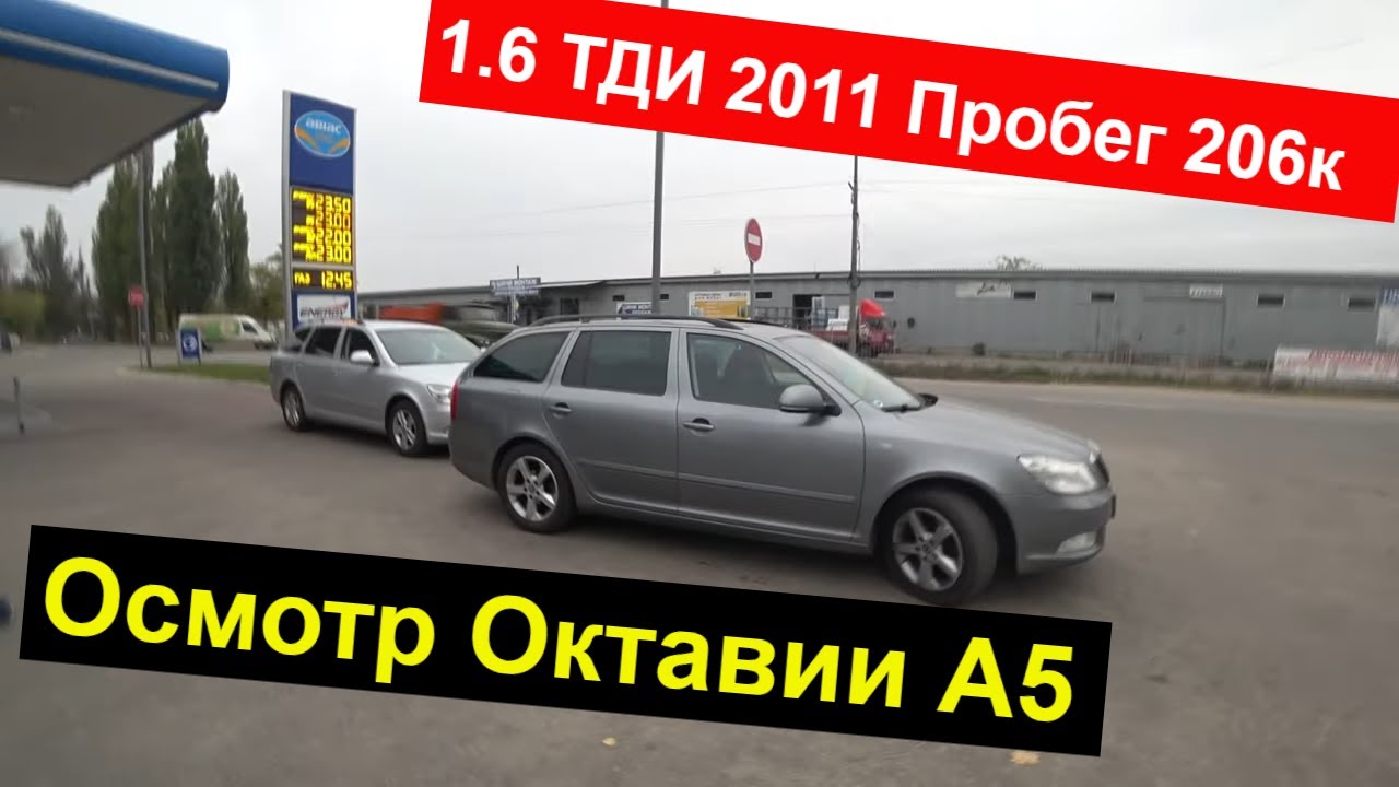 Осмотр Шкоды Октавии А5 1.6 ТДИ - Для подписчика. 30.10.2020