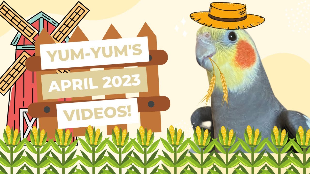 YumYum’s April Videos