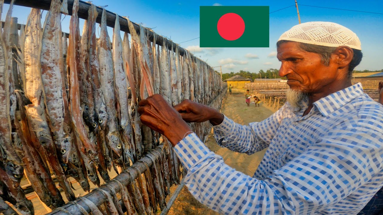 Visiting Bangladesh Largest Dry Fish Market in Cox Bazar 🇧🇩