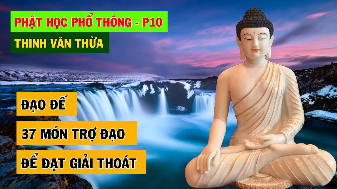 Đạo Đế - 37 Món Trợ Đạo Tu Hành Đến Niết Bàn Giải Thoát | Phật Học Phổ Thông – Phần 10