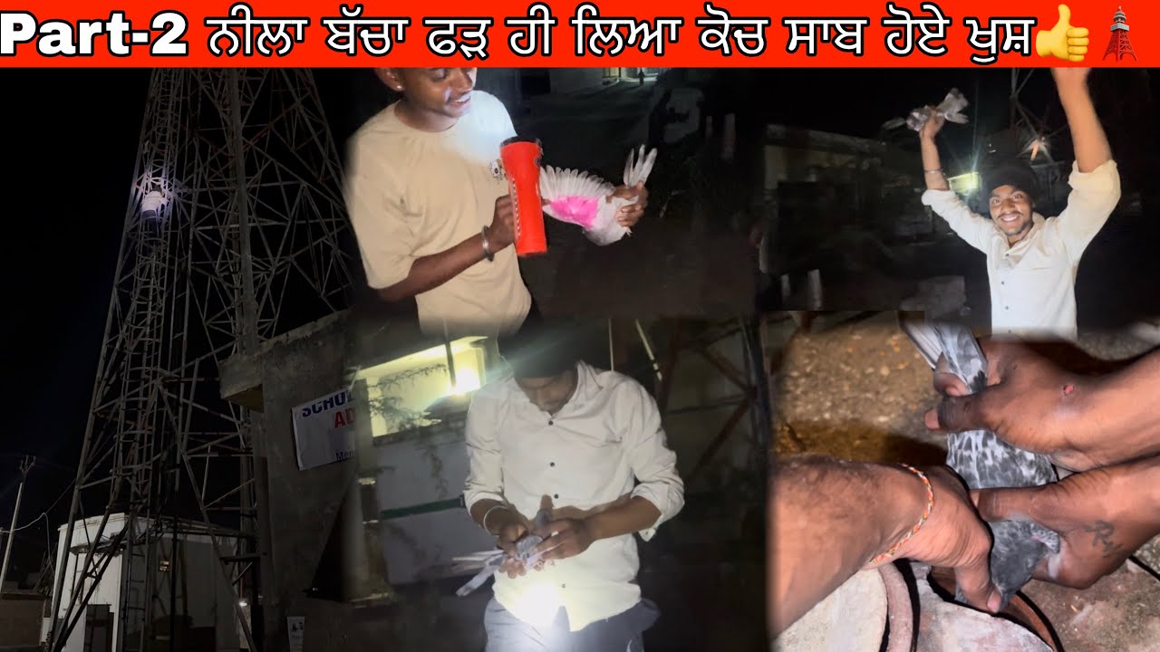 Part-2 ਨੀਲਾ ਬੱਚਾ ਫੜ ਹੀ ਲਿਆ ਕੋਚ ਸਾਬ ਹੋਏ ਖੁਸ਼👍🗼||#views #pigeon #kabootar #viralvlogs 