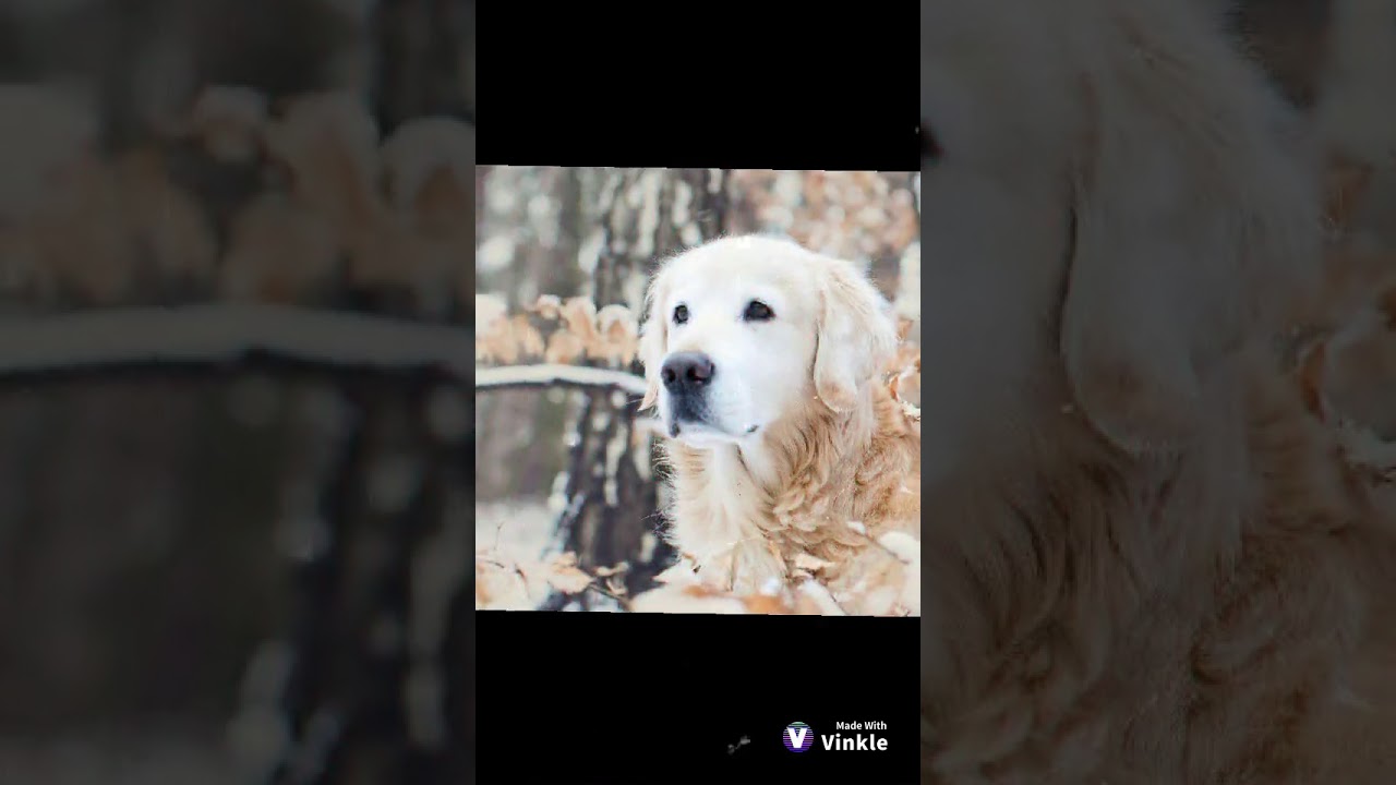 Чтобы канал не пустел :3