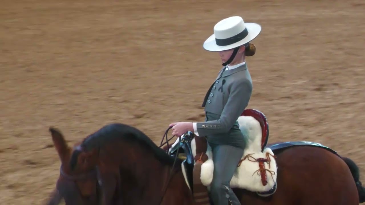 Actualidad I Espectáculo ecuestre 'Siente la magia del caballo en la Aldea del Rocío'