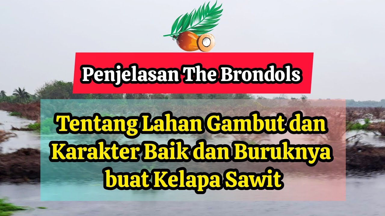 Penjelasan TB : Tentang Lahan Gambut dan Karakter Baik dan Buruknya buat Kelapa Sawit