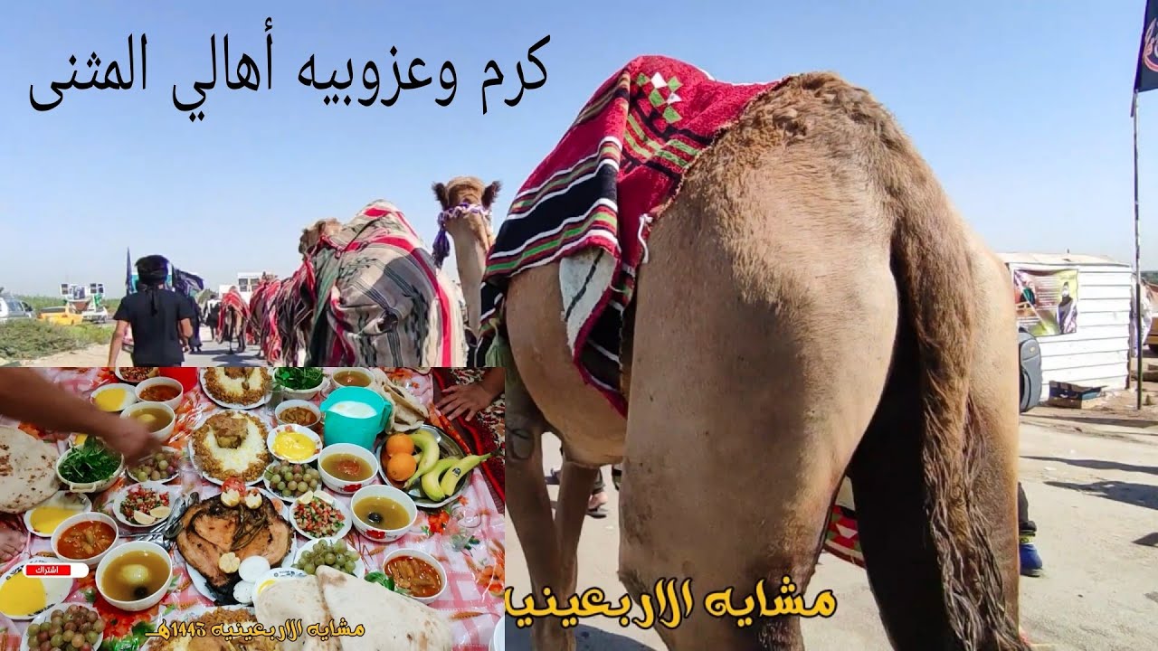 افلوك رقم(9)  شاهد كرم وعزوبيه أهالي الرميثه في محافظة السماوه  المسير من السماوه بتجاه الرميثه