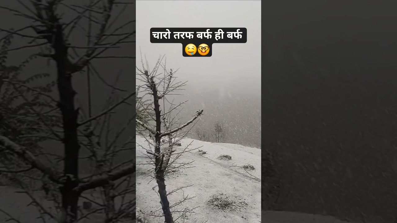 #snowfall