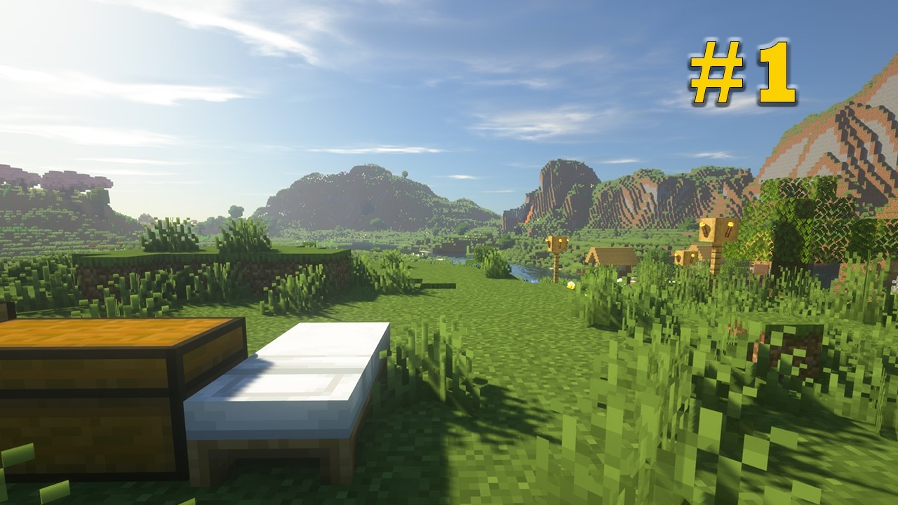 Minecraft #1 | Una Nuova Avventura!!!