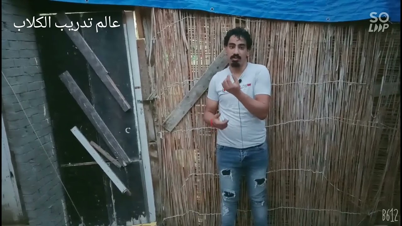 الحيض عند الكلاب _ازاي تعرف ان كلبتك بتجهز للجواز وعلامات الحيض