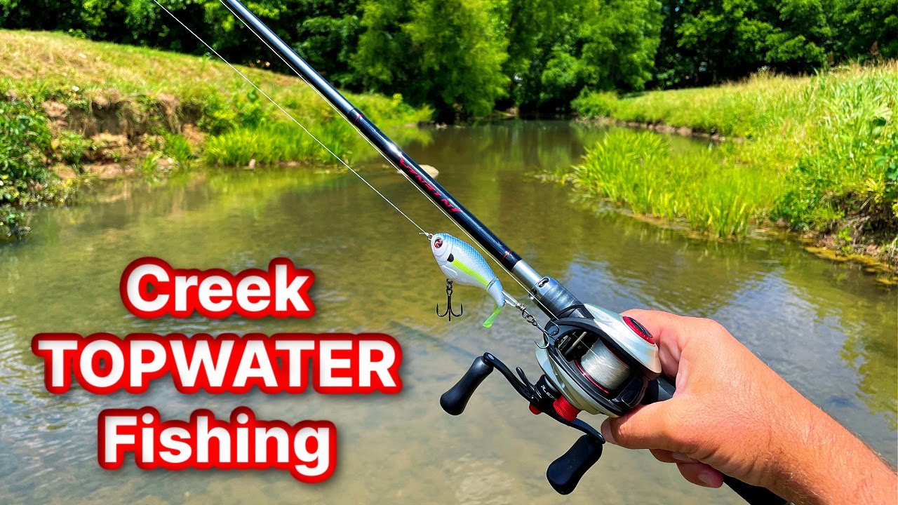 Topwater Creek Fishing Compilation 2 hours