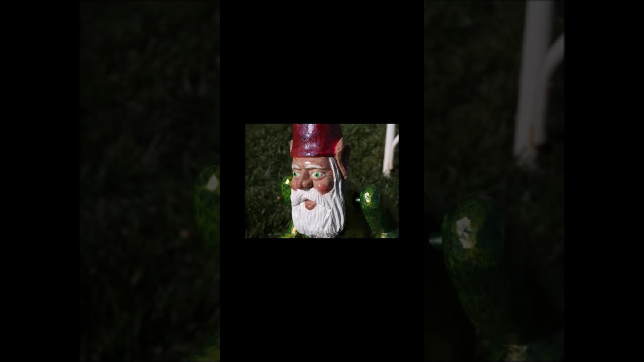 Dance off!!! Frog vs. Gnome-who won?