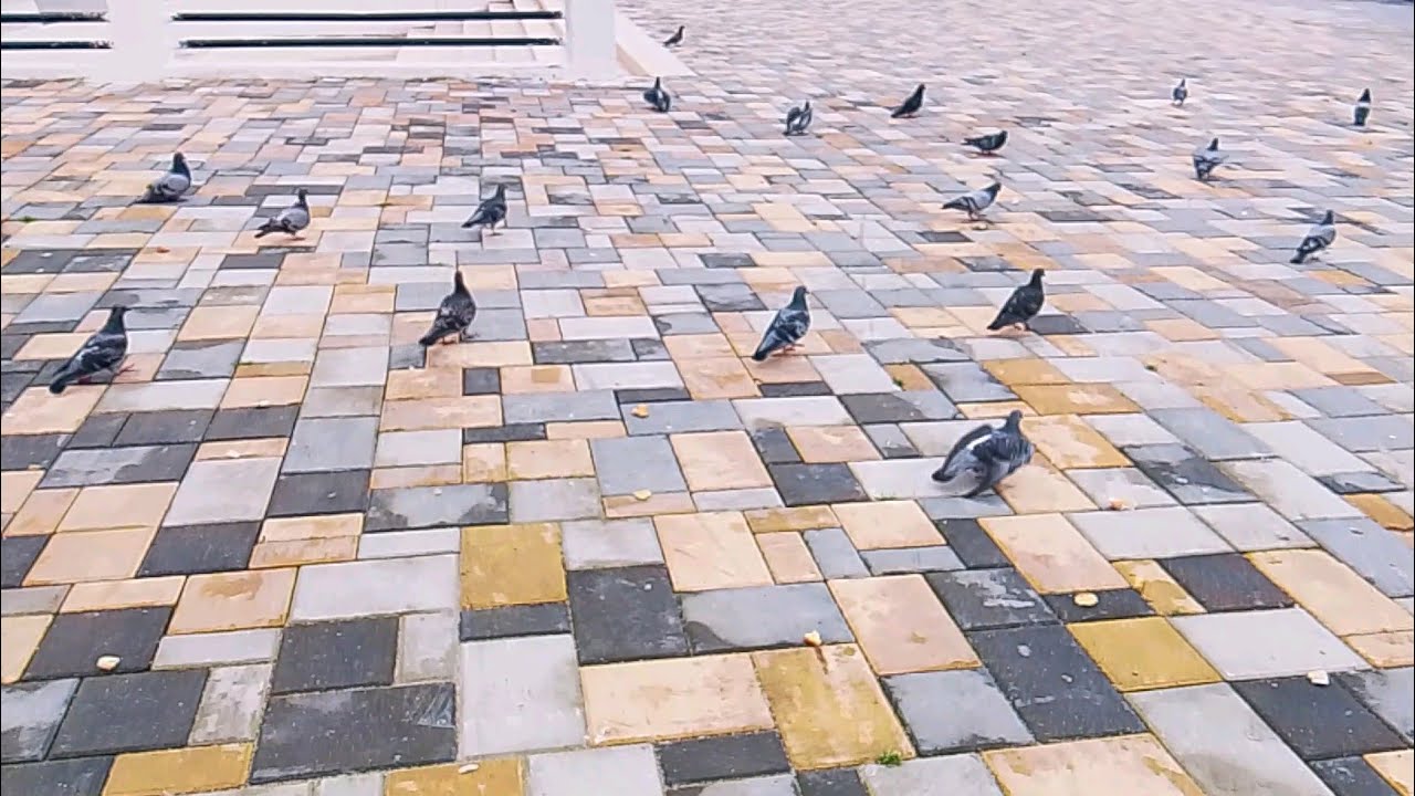 سبحان الله مقلب الأحوال