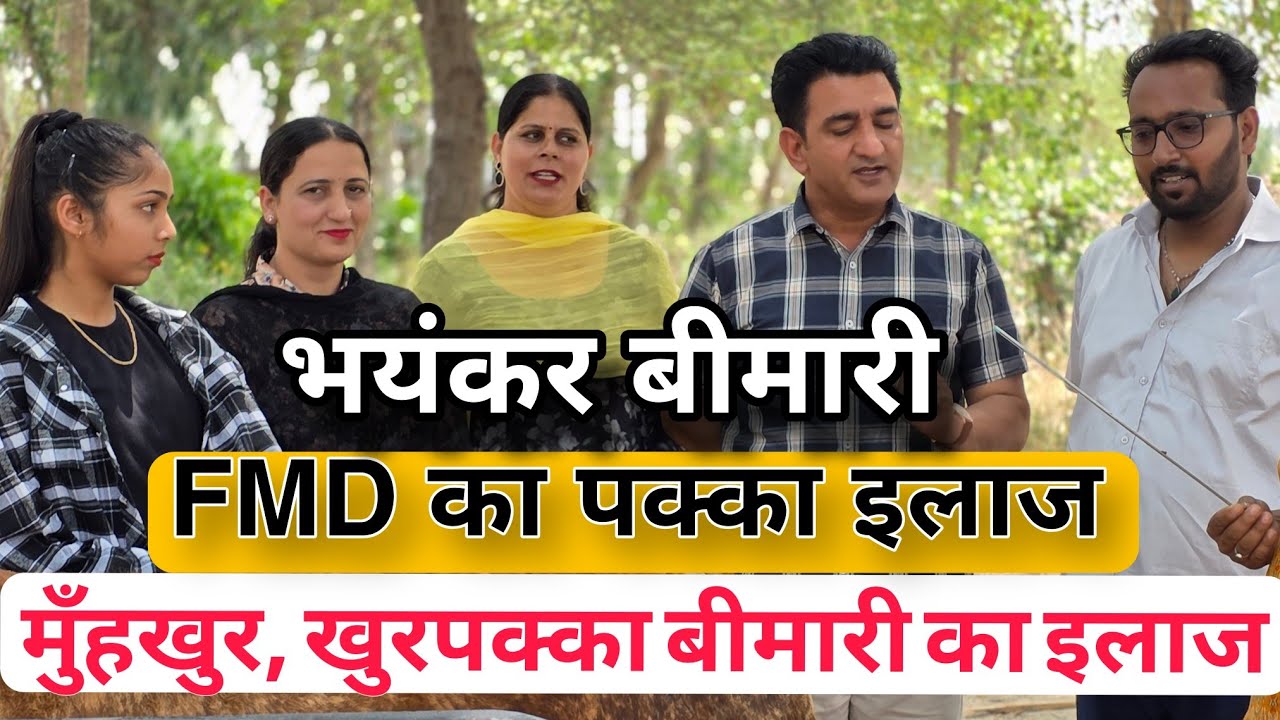100%  खुरपका और मुहपका रोग का इलाज FMD ka ilaaj | mukur ka ilaaj