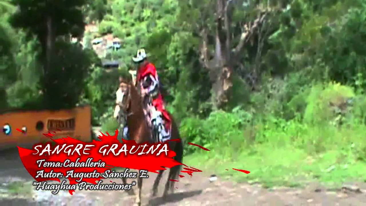 CONJ. SANGRE GRAUINA - CABALLERIA