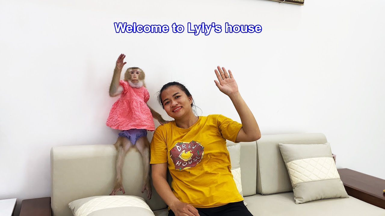 Welcome...! Monkey Lyly is excited about her surprise move to her favorite house.